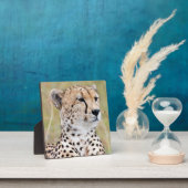 Plaque Photo Cheetah (Insitu)