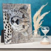 Plaque Photo Cheetah Portrait (Côté)