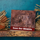 Plaque Photo Cheetah Stare Sauvez Notre Faune (Côté)