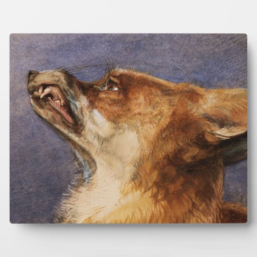 Plaque Photo Chef d'un Fox (Devant)