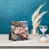 Plaque Photo Cherry Tree in Bloom, Oregon (Insitu)