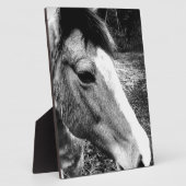 Plaque Photo Cheval (Côté)