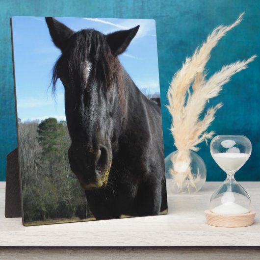 Plaque Photo Cheval à bascule noir secouru (Côté)