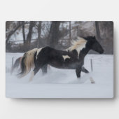 Plaque Photo Cheval à travers la neige (Devant)