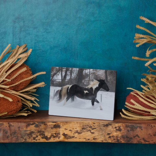 Plaque Photo Cheval à travers la neige (Côté)