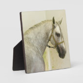 Plaque Photo Cheval andalou grise (Recto)