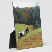 Plaque Photo Cheval blanc et Brown, étang d'automne (Côté)