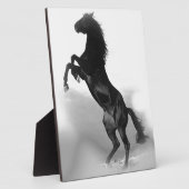 Plaque Photo Cheval blanc noir (Côté)