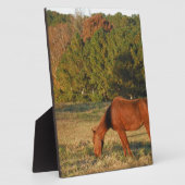 Plaque Photo Cheval Brown aux pins (Côté)