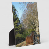 Plaque Photo Cheval Brown contre une clôture (Côté)