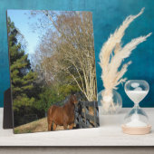 Plaque Photo Cheval Brown contre une clôture (Côté)