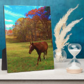 Plaque Photo Cheval Brown dans un champ de couleur arc-en-ciel (Côté)