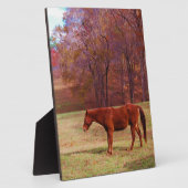 Plaque Photo Cheval Brown dans un champ d'herbe (Côté)