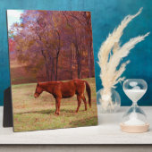 Plaque Photo Cheval Brown dans un champ d'herbe (Côté)