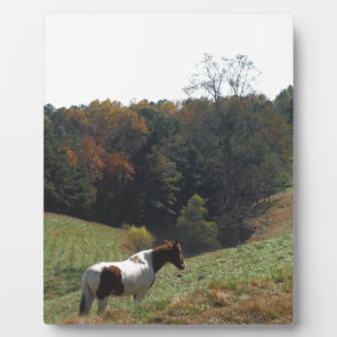 Plaque Photo Cheval Brown et blanc à l'étang d'automne