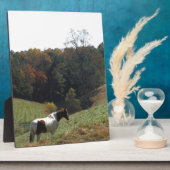 Plaque Photo Cheval Brown et blanc à l'étang d'automne (Côté)