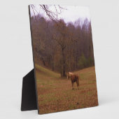 Plaque Photo Cheval Brown et blond dans un champ (Côté)