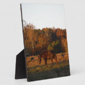 Plaque Photo Cheval Brown rouge, bois d'automne. (Côté)