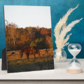 Plaque Photo Cheval Brown rouge, bois d'automne. (Côté)