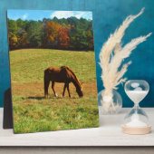 Plaque Photo Cheval Brown rouge dans les arbres d'automne (Côté)