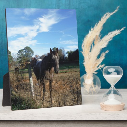 Plaque Photo Cheval brun Coco et Crème (Côté)