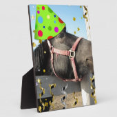 Plaque Photo Cheval de fête (Côté)