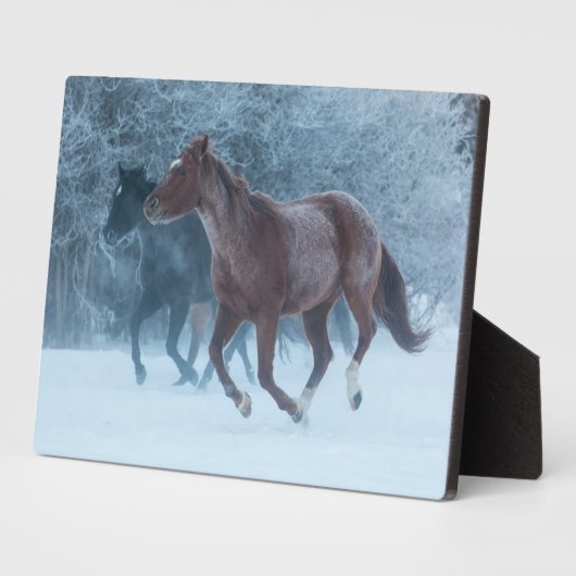 Plaque Photo Cheval Drive (Côté)