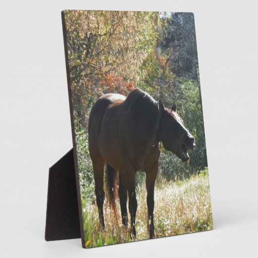 Plaque Photo Cheval en automne (Côté)