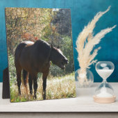 Plaque Photo Cheval en automne (Côté)