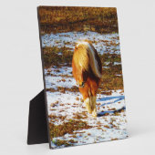 Plaque Photo Cheval miniature Brown et crème dans la neige. (Côté)
