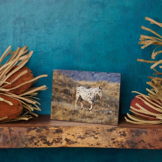 Plaque Photo Cheval Parcourir les collines Pittoresques de la G (Côté)