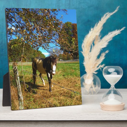 Plaque Photo Cheval Peint, (Côté)