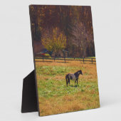 Plaque Photo Cheval peint à distance (Côté)