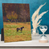 Plaque Photo Cheval peint à distance (Côté)