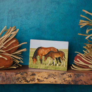 Plaque Photo Cheval sauvage Mère et Colt pâturage