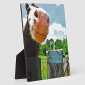 Plaque Photo Cheval souriant (Côté)