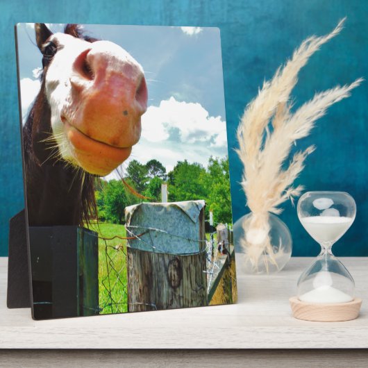 Plaque Photo Cheval souriant (Côté)