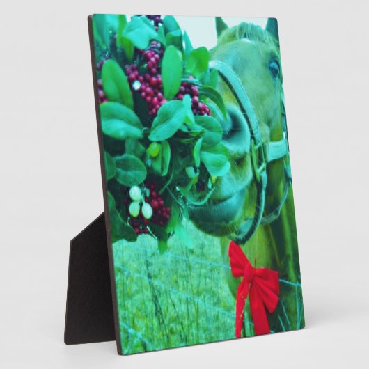 Plaque Photo Cheval Turquoise Mistletoe de Noël (Côté)