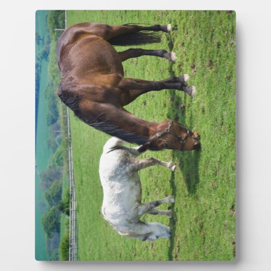 Plaque Photo Chevaux (Devant)