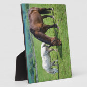 Plaque Photo Chevaux (Côté)