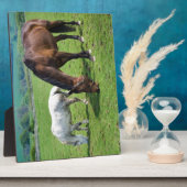 Plaque Photo Chevaux (Côté)