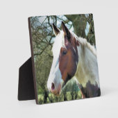 PLAQUE PHOTO CHEVAUX (Recto)