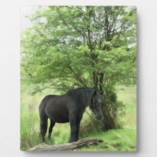 PLAQUE PHOTO CHEVAUX