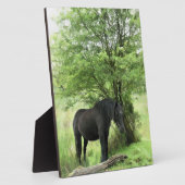 PLAQUE PHOTO CHEVAUX (Côté)