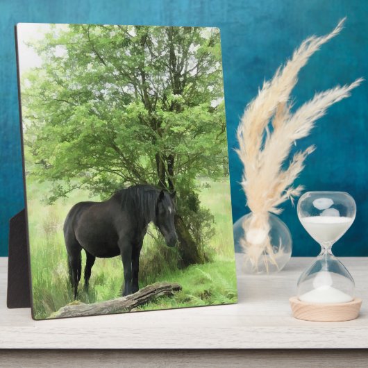 PLAQUE PHOTO CHEVAUX (Côté)