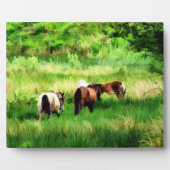 PLAQUE PHOTO CHEVAUX (Devant)