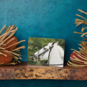 PLAQUE PHOTO CHEVAUX (Côté)