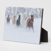 Plaque Photo Chevaux à travers la neige (Côté)