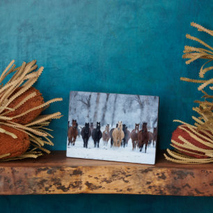 Plaque Photo Chevaux dans le froid