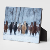 Plaque Photo Chevaux dans le froid (Côté)